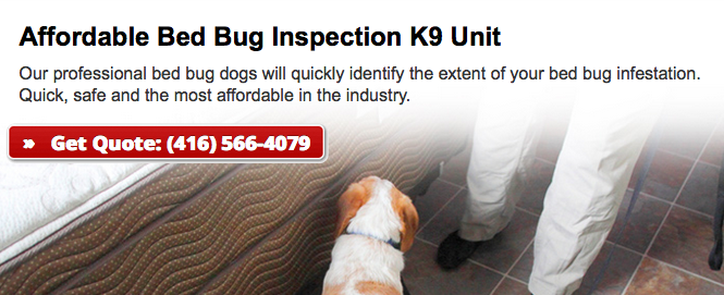 bed bug k9 inspection