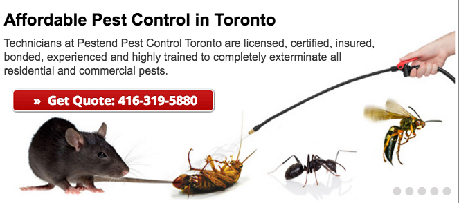 pest control Toronto
